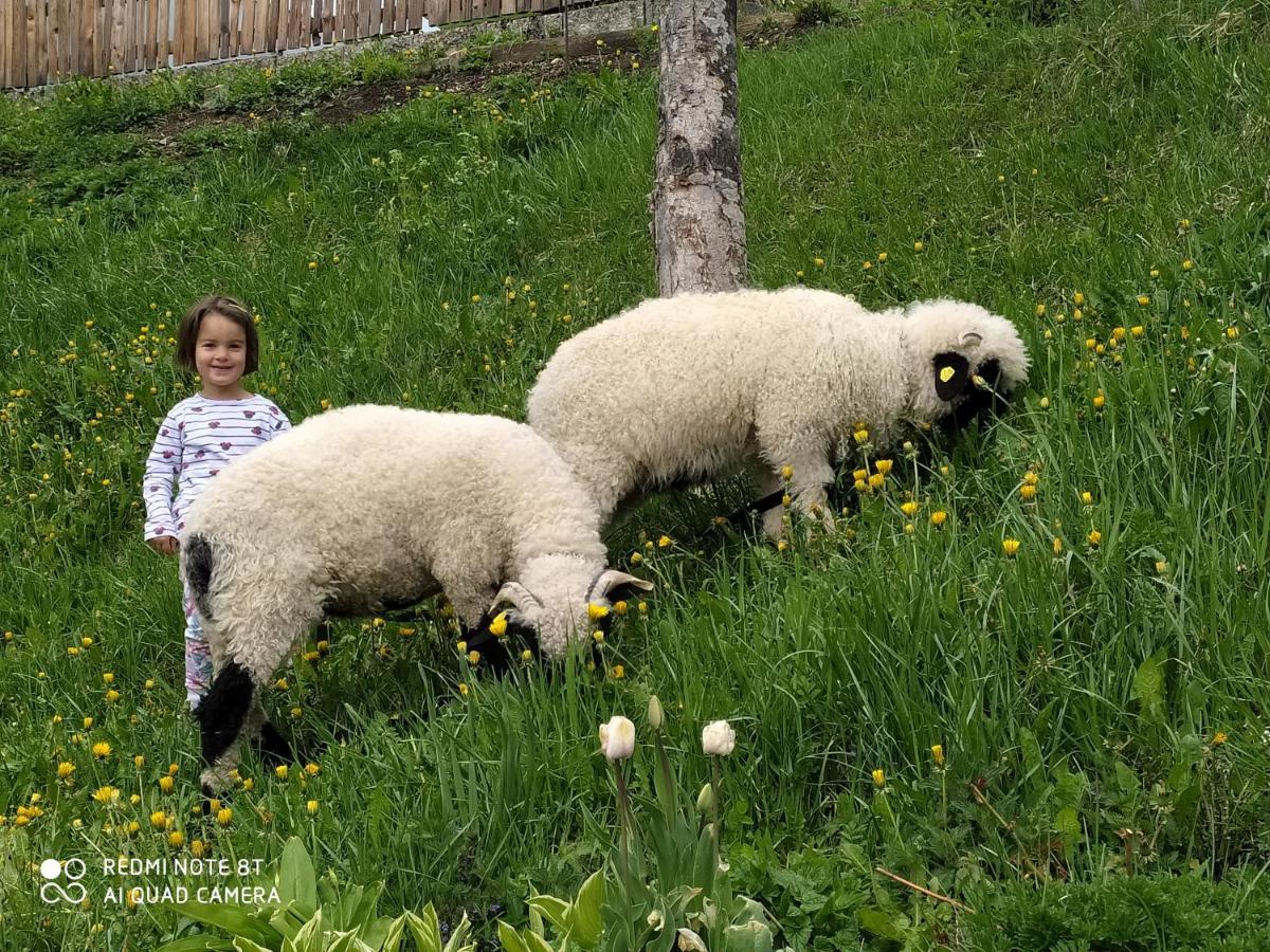 Agriturismo Luech Picedac لا فالي المظهر الخارجي الصورة