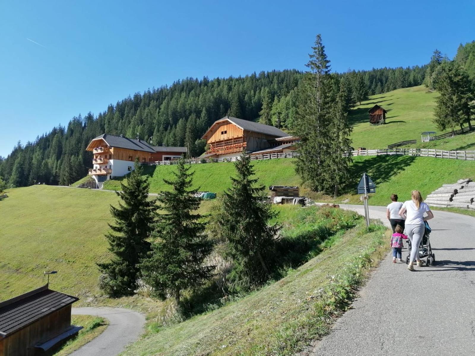 Agriturismo Luech Picedac لا فالي المظهر الخارجي الصورة